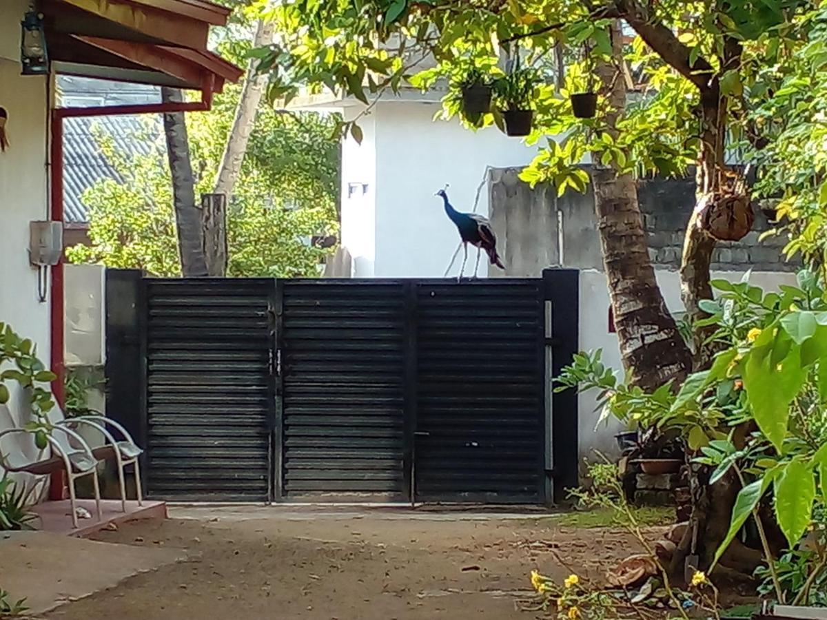 4Ty Two Homestay Galle Exteriör bild