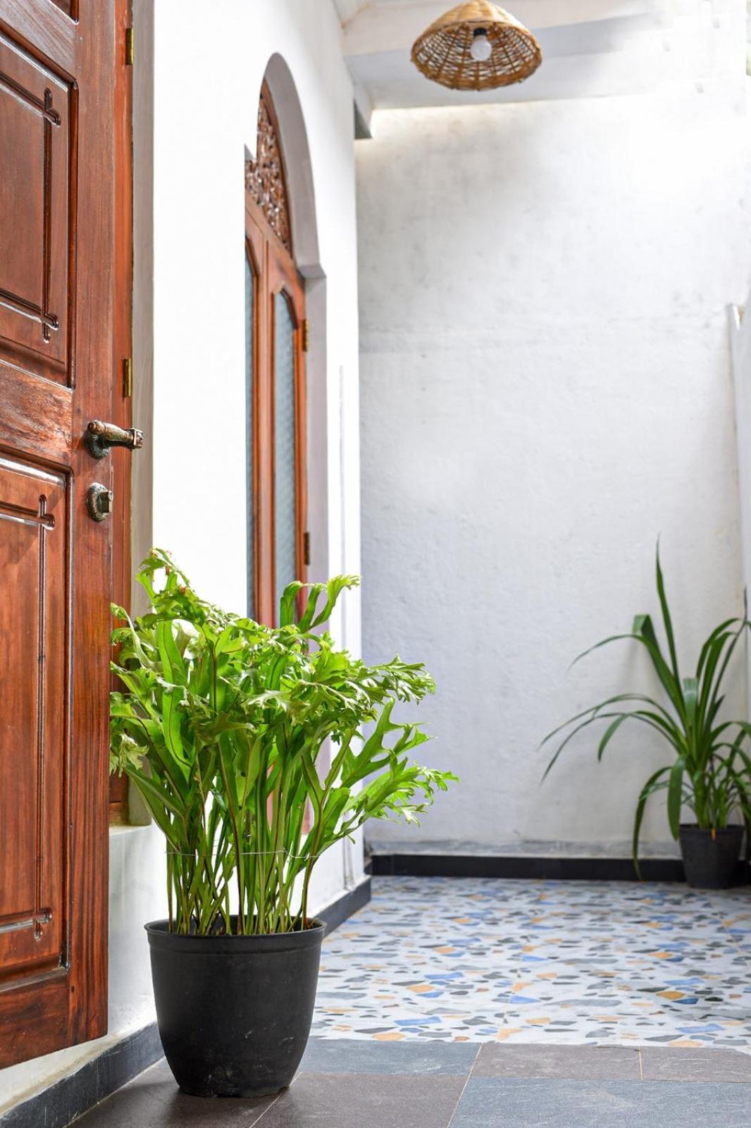 4Ty Two Homestay Galle Exteriör bild