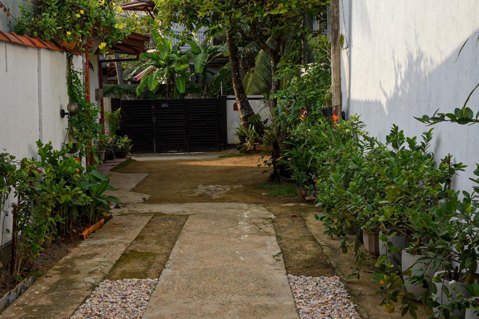 4Ty Two Homestay Galle Exteriör bild