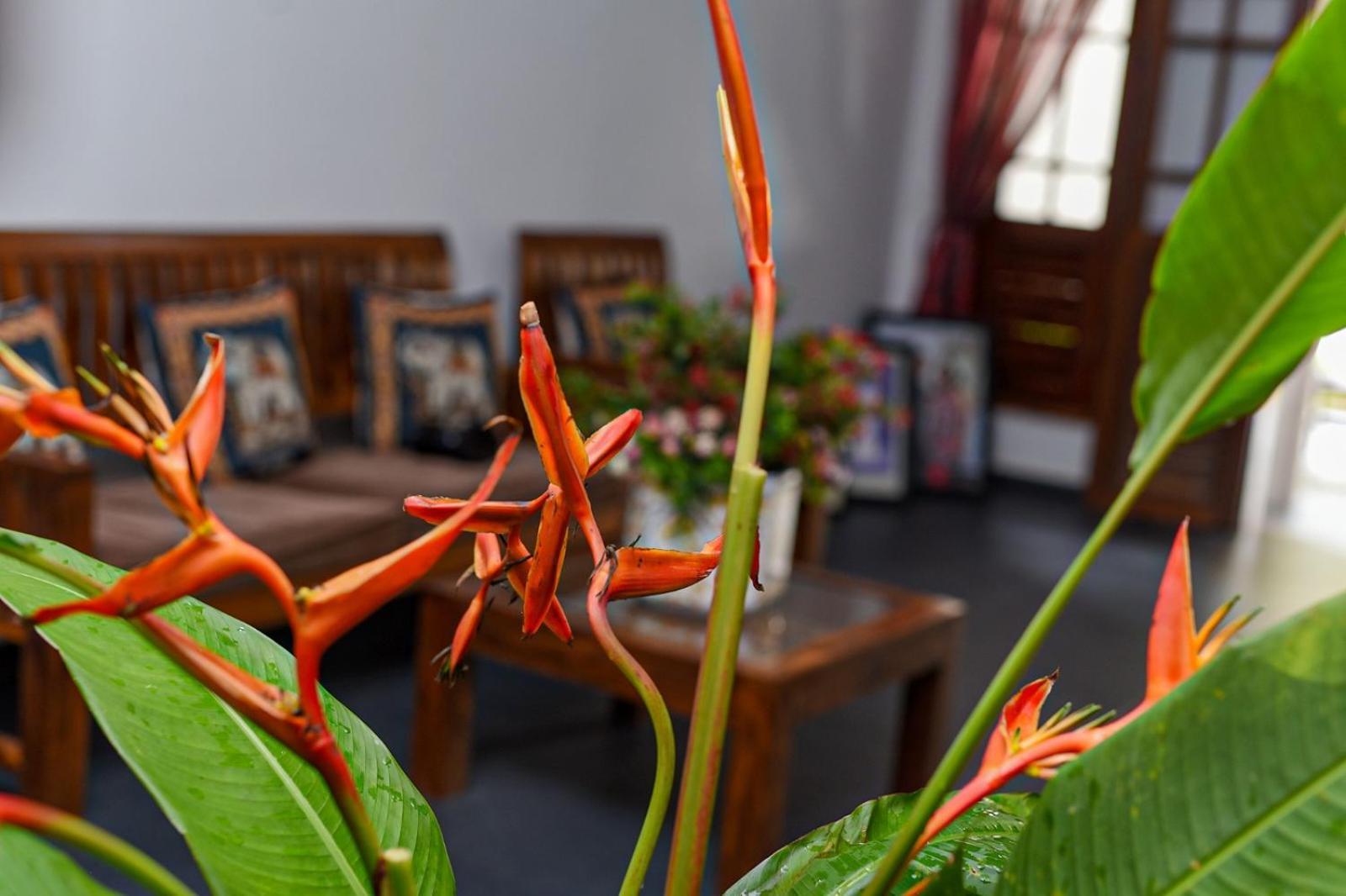 4Ty Two Homestay Galle Exteriör bild
